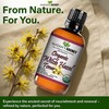 USDA Certified Organic Witch Hazel Toner by Mayan's Secret