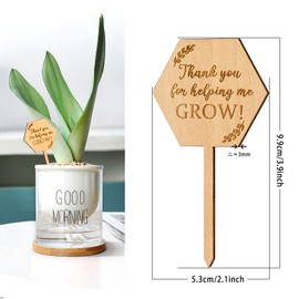 Thank You for Helping Me Grow Succulent Tags Teacher Appreciation Gifts, PARBEE 40PCS Hexagon Plant Stakes Labels Gift for Mother's Day Christmas Thanksgiving Baby Shower