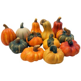 khevga Fall Decoration Ornamental Pumpkin - Decorative Terracotta Pumpkins in a Set of 12, Realistic Fall Decoration for Table, windowsill, Garden and Living Area