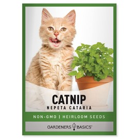 Gardeners Basics Catnip Seeds for Planting is A Heirloom, Non-GMO Herb Variety- Nepeta Cataria Herb Seeds Great for Indoor and Outdoor Gardening and Cats