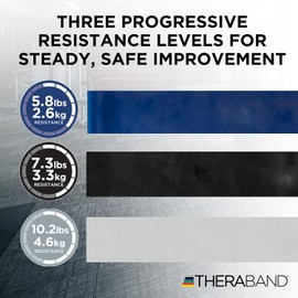 Theraband - Juego de bandas de resistencia, banda elástica profesional sin látex para ejercicios de la parte superior e inferior del cuerpo, entrenamiento de fuerza sin pesas, fisioterapia y pilates, plata, azul y negro, avanzado