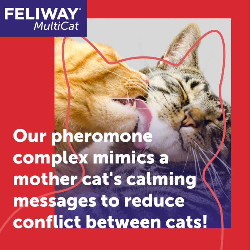 FELIWAY MultiCat 30 Day Cat Calming Plug In Pheromone Diffuser