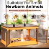 142L Chicken Brooder Box for Chicks Kit with Heater Chicks