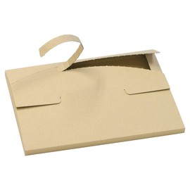 Earth Cardboard ID0088 Cardboard, Cardboard, 80 Size, Thin, B4, Set of 100