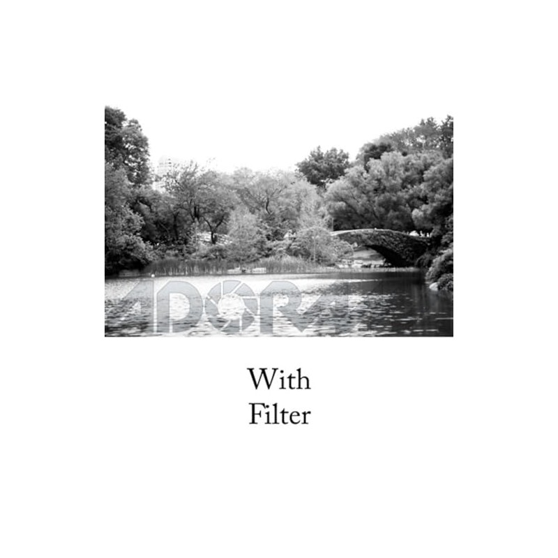 Tiffen 77mm 25 Filter (Red)