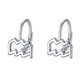 WINNICACA Aquarius Earrings 12 Constellation Jewelry Sterling Silver Horoscope Zodiac Astrology Lever-back Earrings Aquarius Gifts for Women Birthday