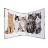 HERMA Lever Arch File Animals with Cats Motif, A4, 70