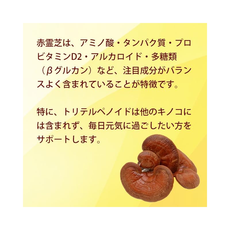 Lipsa Red Reishi Lishi Approx. 1 Month Supply x 6