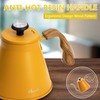 Harriet Gooseneck Kettle with Thermometer for Pour Over Coffee and