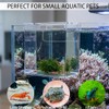 FAWAYSHAAN Drip Acclimation Box for Fish & Shrimp, Small
