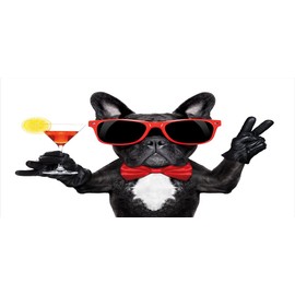 Lunarable Funny Pencil Pen Holder, French Bulldog Holding Martini Cocktail Ready for The Party Nightlife Joy Print, Ceramic Pencil Holder for Desk Office Accessory, 3.6" X 3.2", Black White