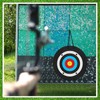 Gemscream 20" Foam Archery Target for Backyard, High-Density Round Archery