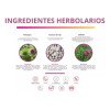Set Reviving Farmasi Shampoo Mascarilla Y Aceite