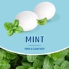 Les Anis de Flavigny Candy Mints, The French Mints, Vegan,