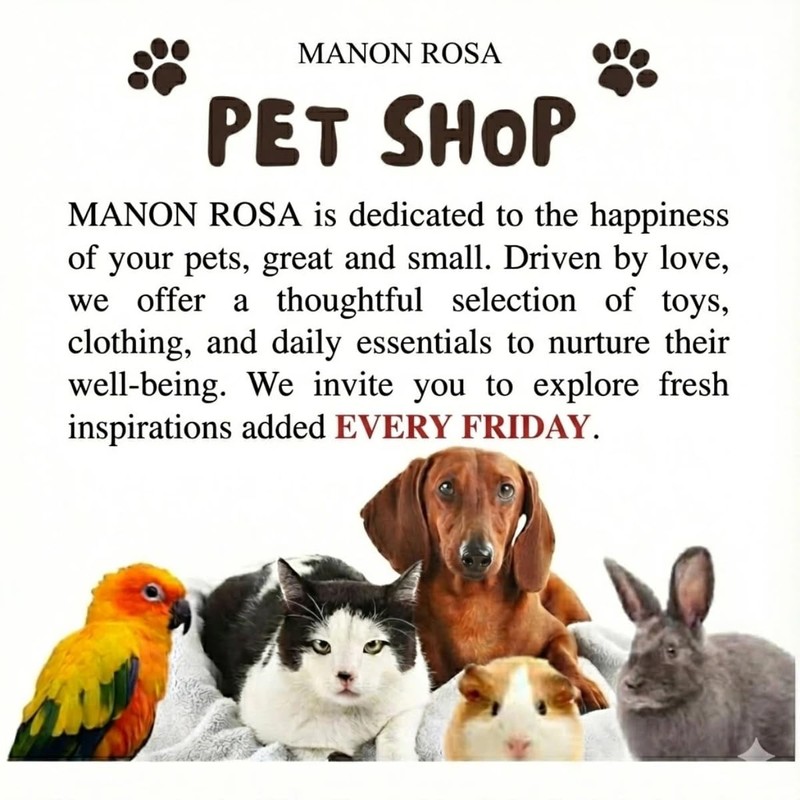 MANON ROSA Rabbit Harness and Leash Set - Escape-Proof Adjustable