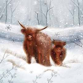 Pack of 6 Charity Christmas Cards (PH-CHPT0075) - Up Helly Aa Morn - 6 Cards of 1 Design From Paper House