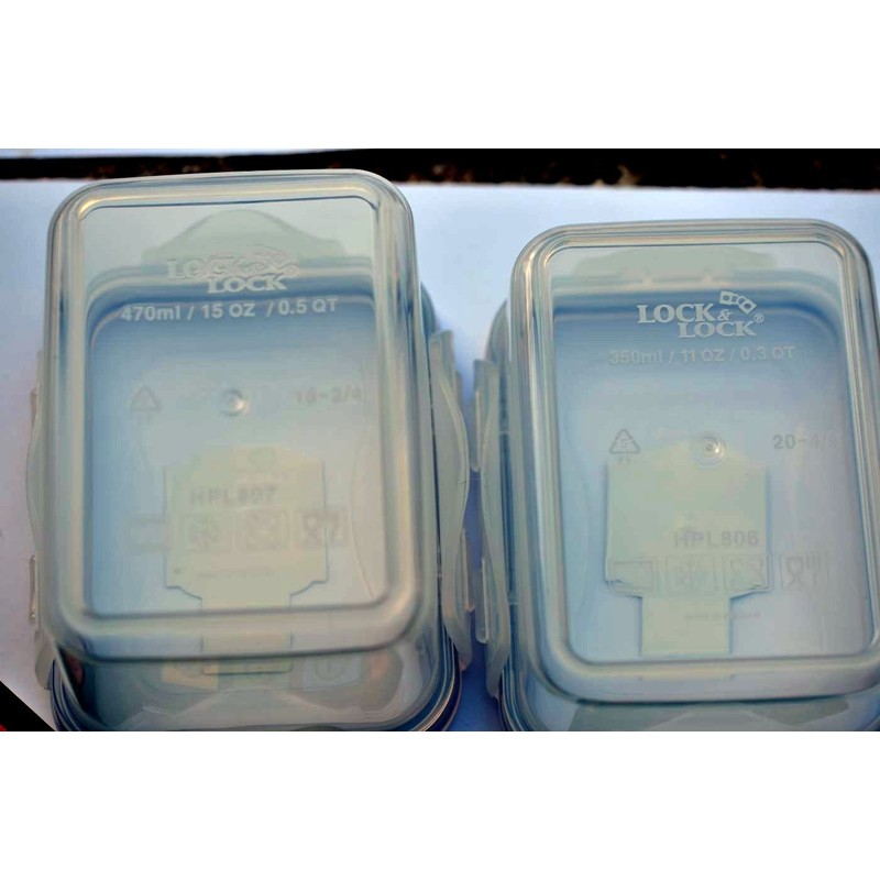 Geocaching Hideaway Lock & Lock Container Regular with 2 x