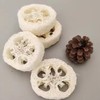 Terra Touch Mini Spa Set - Loofah, Sisal Sponge and