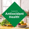 Nature's Bounty Turmeric With Black Pepper Extract, Supports Antioxidant Health,