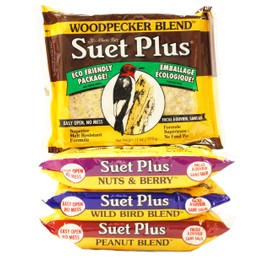 St Albans Bay Suet Plus Variety Pack of 4 Flavors of Suet Cakes for Wild Birds 11 Ounces Each