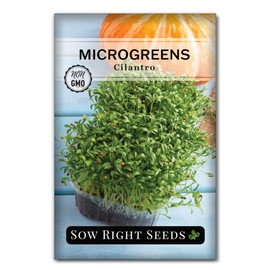 Sow Right Seeds - Cilantro Microgreen Seed for Growing - Instructions to Quickly Grow Your Own Delicious and Healthy Microgreens - Plant Indoors with no Special Equipment - Minimum of 15g per Packet