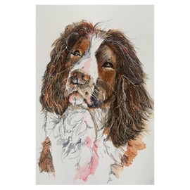 Springer Spaniel Owner Gift Notebook Journal - 100 pages - 6" x 9"