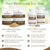 Real Mushrooms Lions Mane Mushroom Capsules 120 | Lion’s Mane