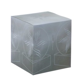 CoolSnowGlobes Spring Trees Glass Snow Globe by CoolSnowGlobes