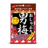 Nobel Confectionery Pacifier Male Plum Sheet 0.3 oz (10 g)