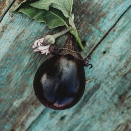 Mitoyo Japanese Eggplant - 25 Seeds - Rare Asian Eggplant Variety, Dark Purple Eggplants, Non-GMO Heirloom Eggplant Seeds for Planting in The Home Garden, Thresh Seed Company