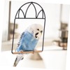 GRIRIW Parrot Stand Hummingbird Swing Portable Bird Perch Easy Hanging