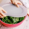 OMADA Sanaliving Line 6.5L Large Kitchen Bowl with Lid, Antibacterial,