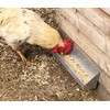 Jake's Farm Yard Chicken and Poultry Feeder Trough and Wall