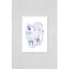 Watercolor closeup portrait of cute Samoyed breed dog isolated on