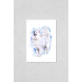 Watercolor closeup portrait of cute Samoyed breed dog isolated on blue background. Longhair fluffy white herdig dog. Hand drawn sweet home pet. reindeer herders dogs. Greeting card design. Clip art