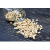 Marshmallow Root Herb 8 oz. (227g) | Non-GMO Tea |