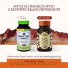 Kava Cool Complex Herbs Etc 60 - Gel blando
