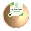U'reca Organics Eco-Friendly Palm Leaf Bowls | 2.5" (6 cm)