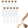 Samcos Test Tube PS Plastic Container Set of 10 with
