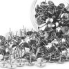 2000 Pcs Thumb Tacks, Push Pins, 5 Bottles (400 Pieces