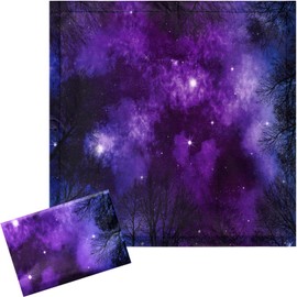 Baquler 2 Pcs Fluorescent Light Covers 2 x 2 ft Light Filters Magnetic for Ceiling Lights Classroom(Milky Way)