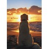 Dog Sitting On Beach At Sunset - Avanti Golden Retriever
