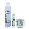 Labonté Restaurador Capilar Tratamiento Profesional Labonté Kit