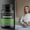 Berberina Hcl 97% | 500mg 120 Cápsulas Sabor Sin Sabor