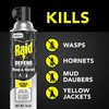 Raid Wasp & Hornet Killer Spray (14 Ounce (Pack of
