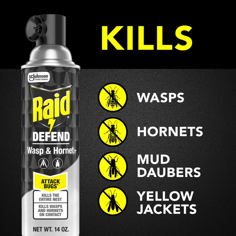 Raid Wasp & Hornet Killer Spray (14 Ounce (Pack of