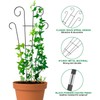 Mklsit 4 Pack 23'' Plant Trellis for Potted Climbing Plants
