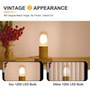 TOKCON T45 LED Light Bulbs 2W 200Lm E26 Base (2700K