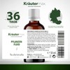 Kräutermax Devil's Claw Drops 1 x 50 ml, Plant Fluid