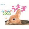 JTBのカレンダー ふわふわうさぎ 2023 壁掛け 干支